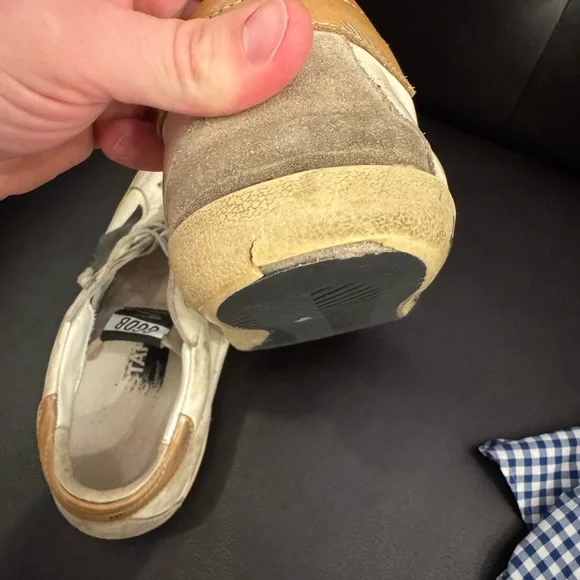 Golden Goose (Used) (Amazing Prince) - Picture 8 of 12